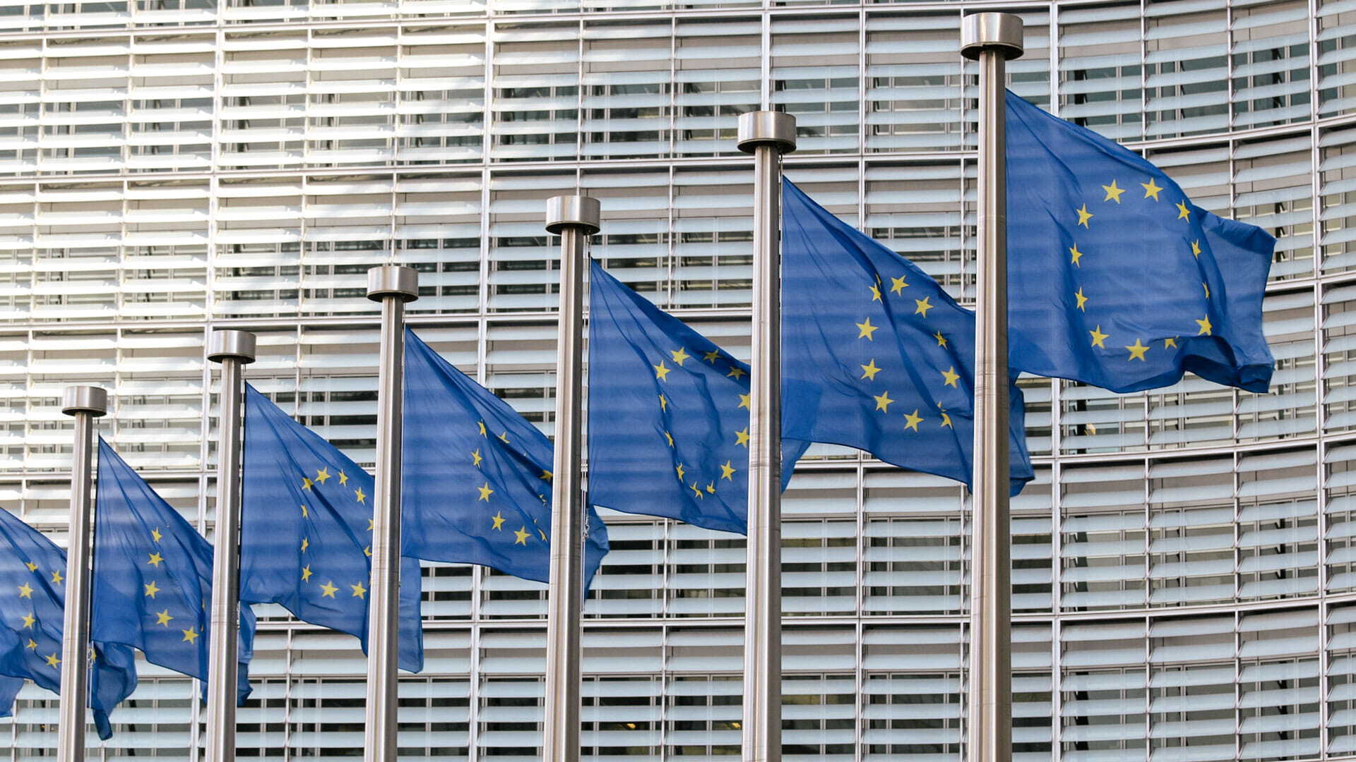EU-banner-BG