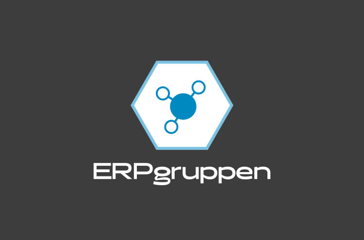 erp-grouppen-partner
