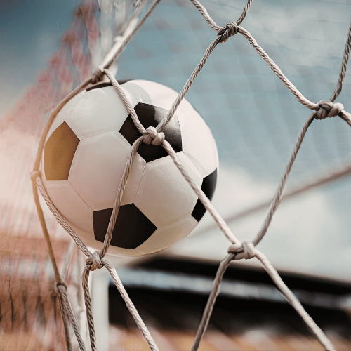 World Cup webinar