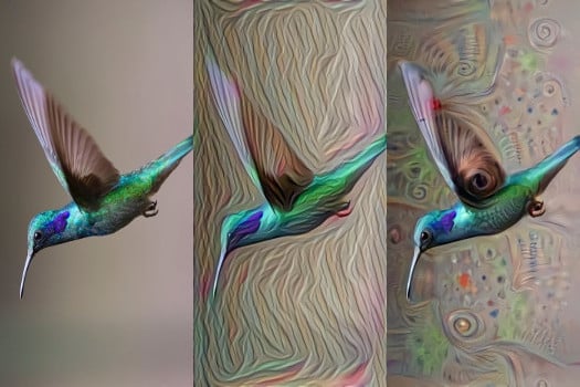 Google Deep Dream - TimeXtender Blog